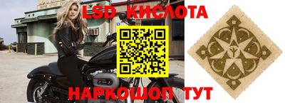 гашик Камышлов