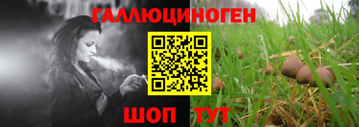 Псилоцибиновые грибы Psilocybine cubensis Ханты-Мансийск